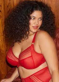 Bra with a bandeau style for a strapless and sleek look Elomi Matilda Plunge Underwire with J-Hook #8900 RED Bra with a bandeau style for a strapless and sleek look Elomi Matilda Plunge Underwire with J-Hook #8900 RED